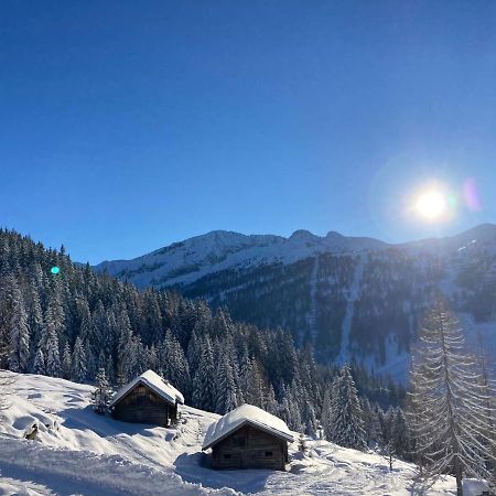 Appartementhaus Sky Lodge Алтенмаркт им Понгау Екстериор снимка