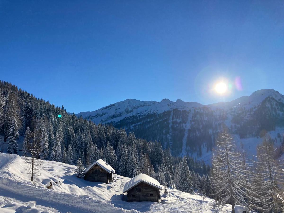 Appartementhaus Sky Lodge Алтенмаркт им Понгау Екстериор снимка