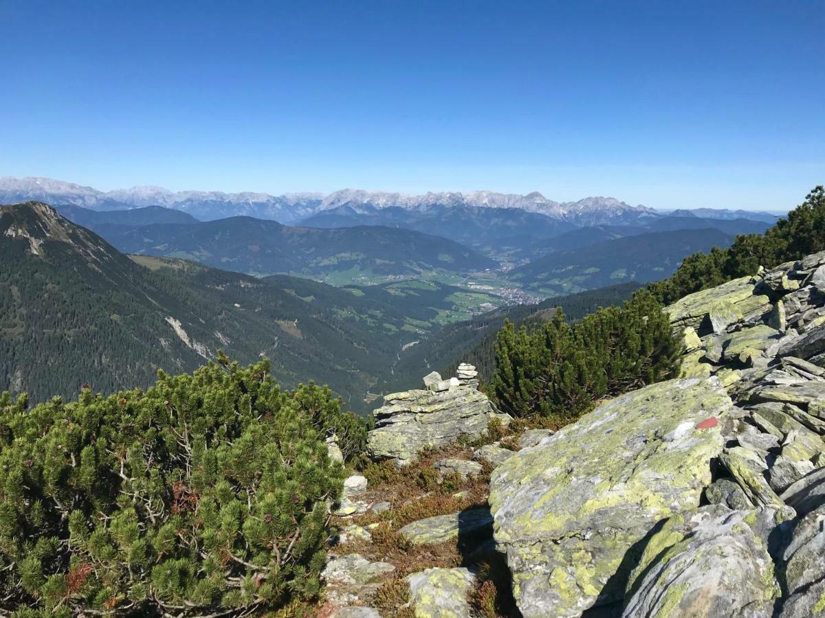 Appartementhaus Sky Lodge Алтенмаркт им Понгау Екстериор снимка
